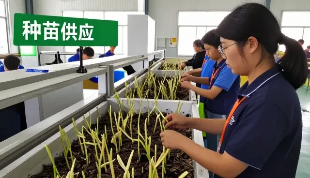 农产品经营与销售帮助解决渠道供货问题